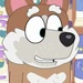 Customer (Bluey)