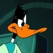 Duck Dodgers (Duck Dodgers)