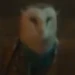 Owl (Wicked)