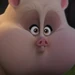PB (DC League of Super-Pets)