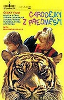 Carodejky z predmestí - poster