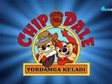 Chip va Deyl