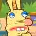 Bunny (Almost Naked Animals)
