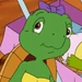 Harriet Turtle (Franklin)
