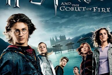 Harry potter and the goblet of fire hindi dubbed top