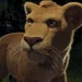Ryan (The Wild)