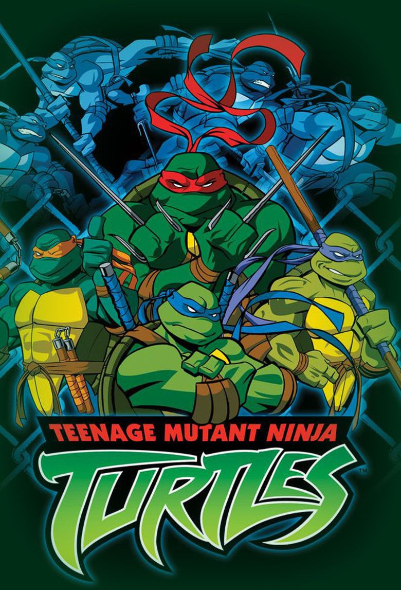 Teenage mutant ninja turtles 2003 стим фото 81