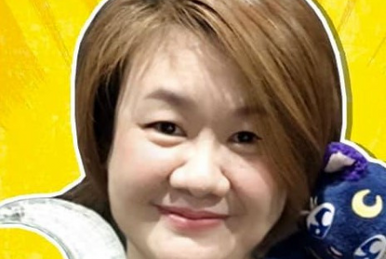 パルテナの鏡 新・光神話 パルテナの鏡 | The Dubbing Database | Fandom
