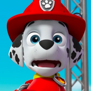 Marshall marcus hot sale paw patrol