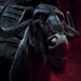 Kazar (The Wild)