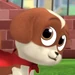 Hero (Puppy Dog Pals)