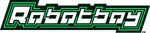 Robotboy - logo (English)