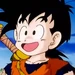 孫悟飯 (ドラゴンボールＺ)