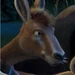 Duke (The Wild)