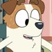 Jack's Mum (Bluey)