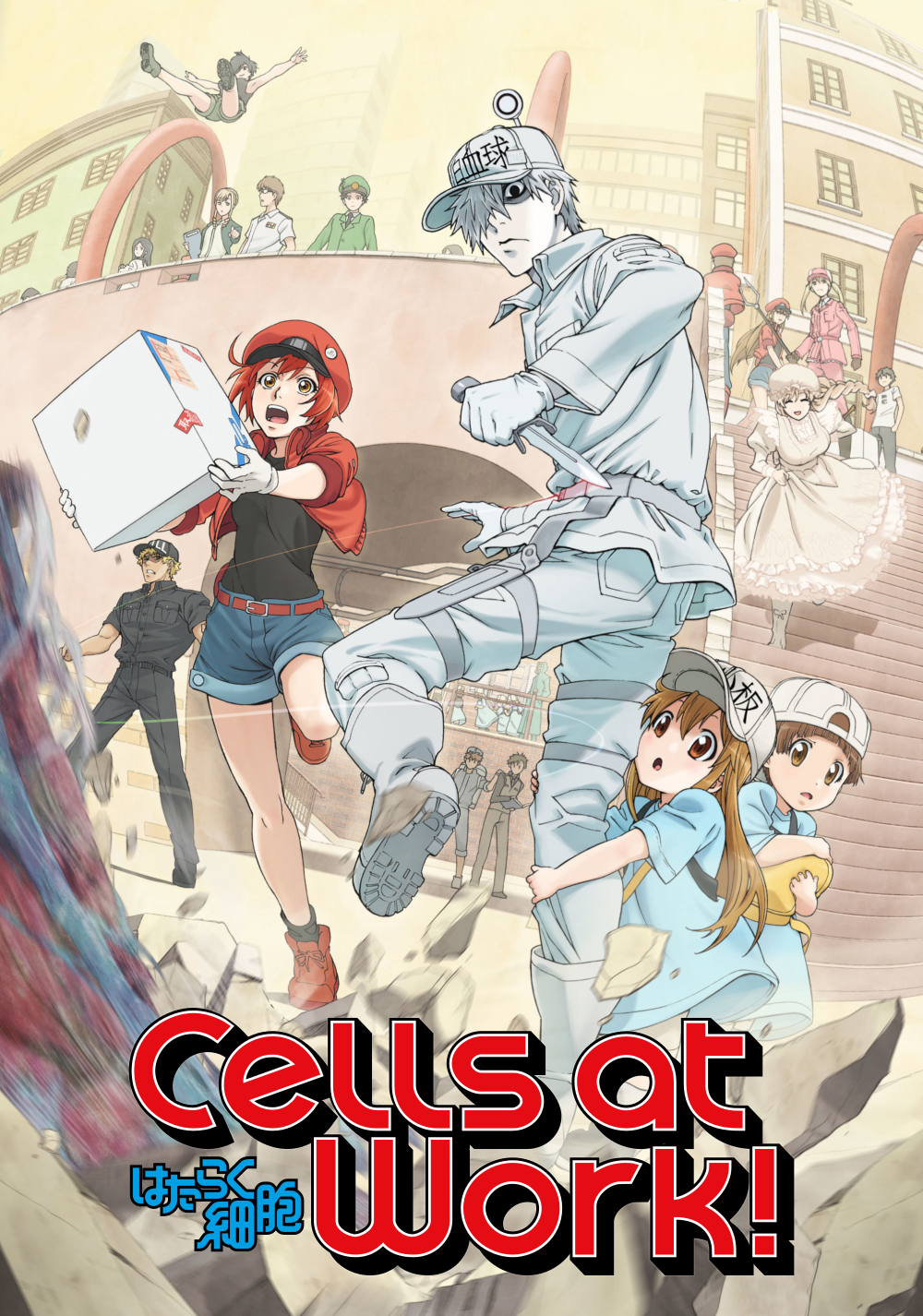 Cells at Work Season 2 Episode 2 Release Date, Watch English Dub Online,  Spoilers