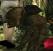 Willow (The Longest Journey)