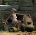 Neema (The Longest Journey)