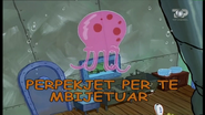 S1E9a - "Përpekjet për të mbijetuar"