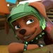 Boomer (PAW Patrol)