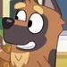 Gruber (Bluey)