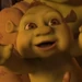 Farkle (Shrek the Third)