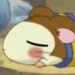 ねてるくん (とっとこハム太郎)