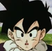 孫悟飯 (ドラゴンボールZ 燃えつきろ！！熱戦・烈戦・超激戦)