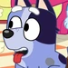 Socks (Bluey)