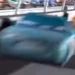 Ryan Shields (Cars)