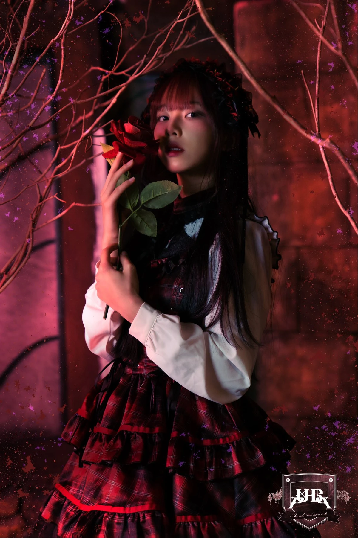 Lynn | International Idols Wiki | Fandom