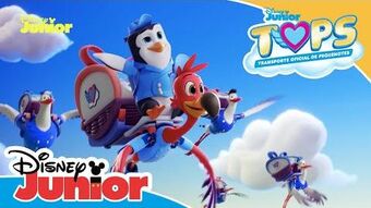 Disney junior tops discount