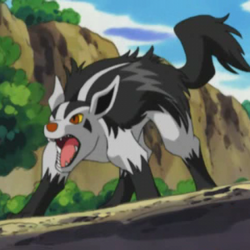 pic Mightyena Evolution category poochyena evolution family