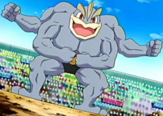 Bruno's Machamp, International Pokédex Wiki