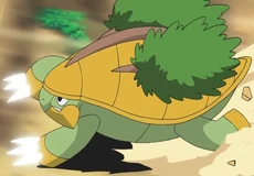 Rock Climb International Pokedex Wiki Fandom