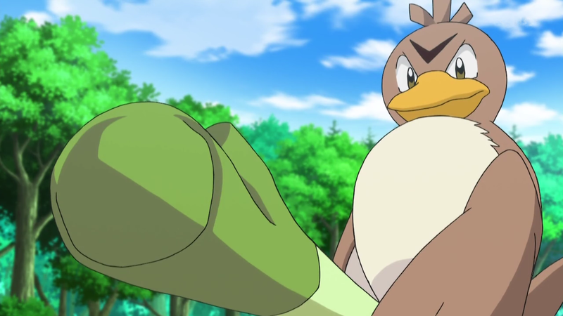 Farfetch'd, Wiki