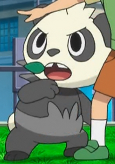 Pancham  Pokédex