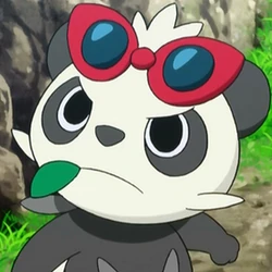 évolution de pokemon pancham