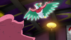 Hawlucha, Wiki Pokédex