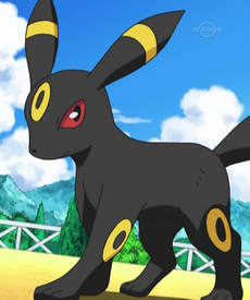 Umbreon (Pokémon) - Bulbapedia, the community-driven Pokémon