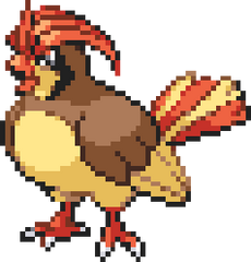 Pidgeot  Pokédex