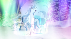 Aurora Veil (Cerah's Ninetales)
