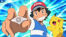 Normalium Z | International Pokédex Wiki | Fandom
