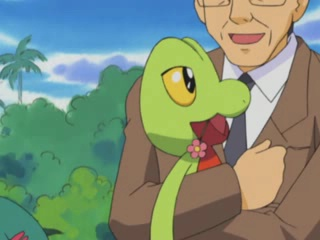 Treecko  Pokédex