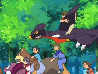 So why can't Garchomp learn fly? : r/pokemon