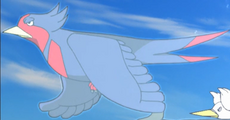 Swellow (Hoopa)