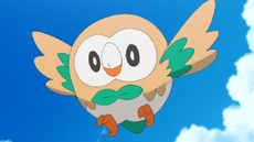 Rowlet  Pokédex