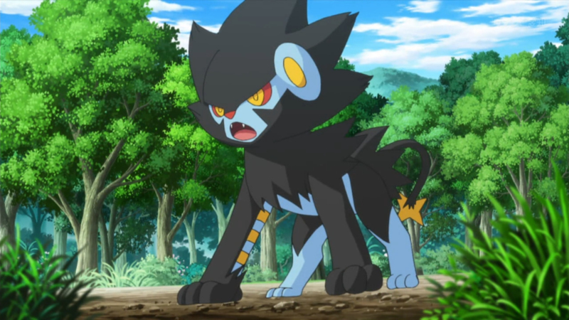 Luxray  Pokédex