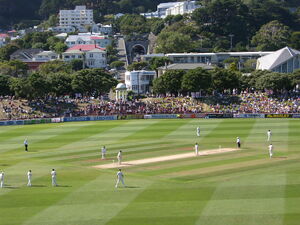 Basin Reserve