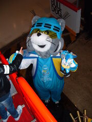 Icy IIHF 2013